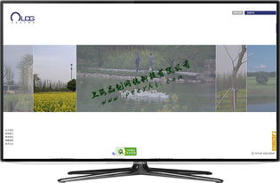 松江網(wǎng)站建設 如何打造引人入勝的商品圖相冊提升用戶體驗
